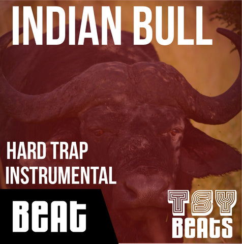 INDIAN BULL - Hard TRAP Instrumental / Hip Hop BEAT (Beat only)